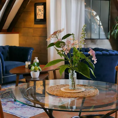 Toussaint - Calme & Authentique Appartement Angers