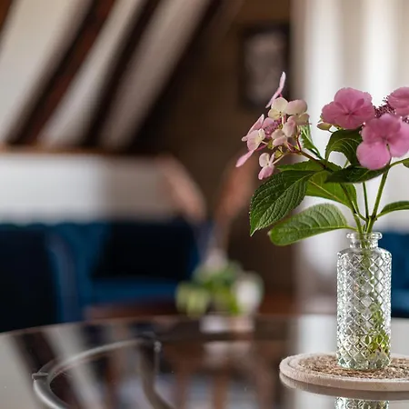 Appartement Toussaint - Calme & Authentique Angers