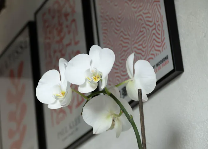 Toussaint - Calme & Authentique アパート *