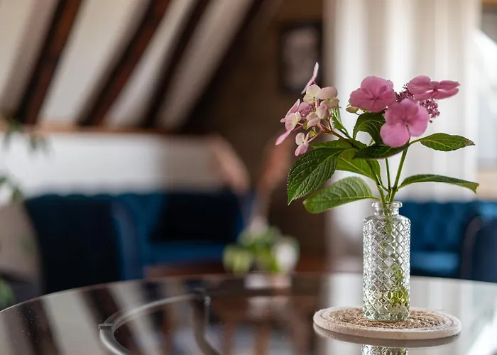 Appartement Toussaint - Calme & Authentique Angers